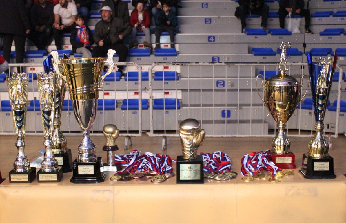 Bokserski turnir Zlatna rukavica 2018